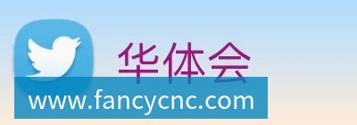 一个位置获得巨大提升，法国比四年前强了一个档次吗？